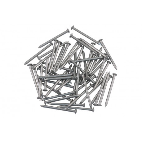 Tochtstripnagel (55) rvs 1.6x25 ellen