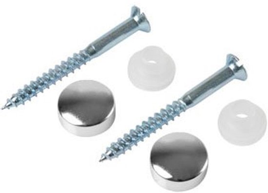 Set potschroeven chroom 5,5x60mm chroom plieger label bl