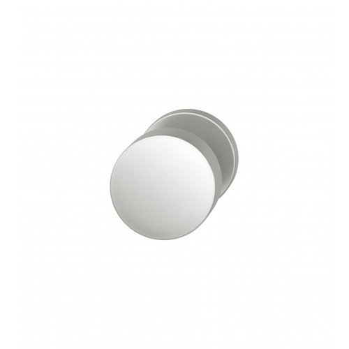RVS knop 60mm op rozet