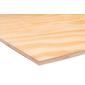 International Plywood Rio Pine B/C+ SE CE2+ FSC Mix 70% 2440x1220x12mm