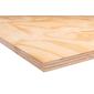 International Plywood Rio Pine B/C+ SE CE2+ FSC Mix 70% 2440x1220x18mm