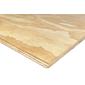 International Plywood Rio Floor B/C+ TG2 FSC 100% 2440x1220x18mm