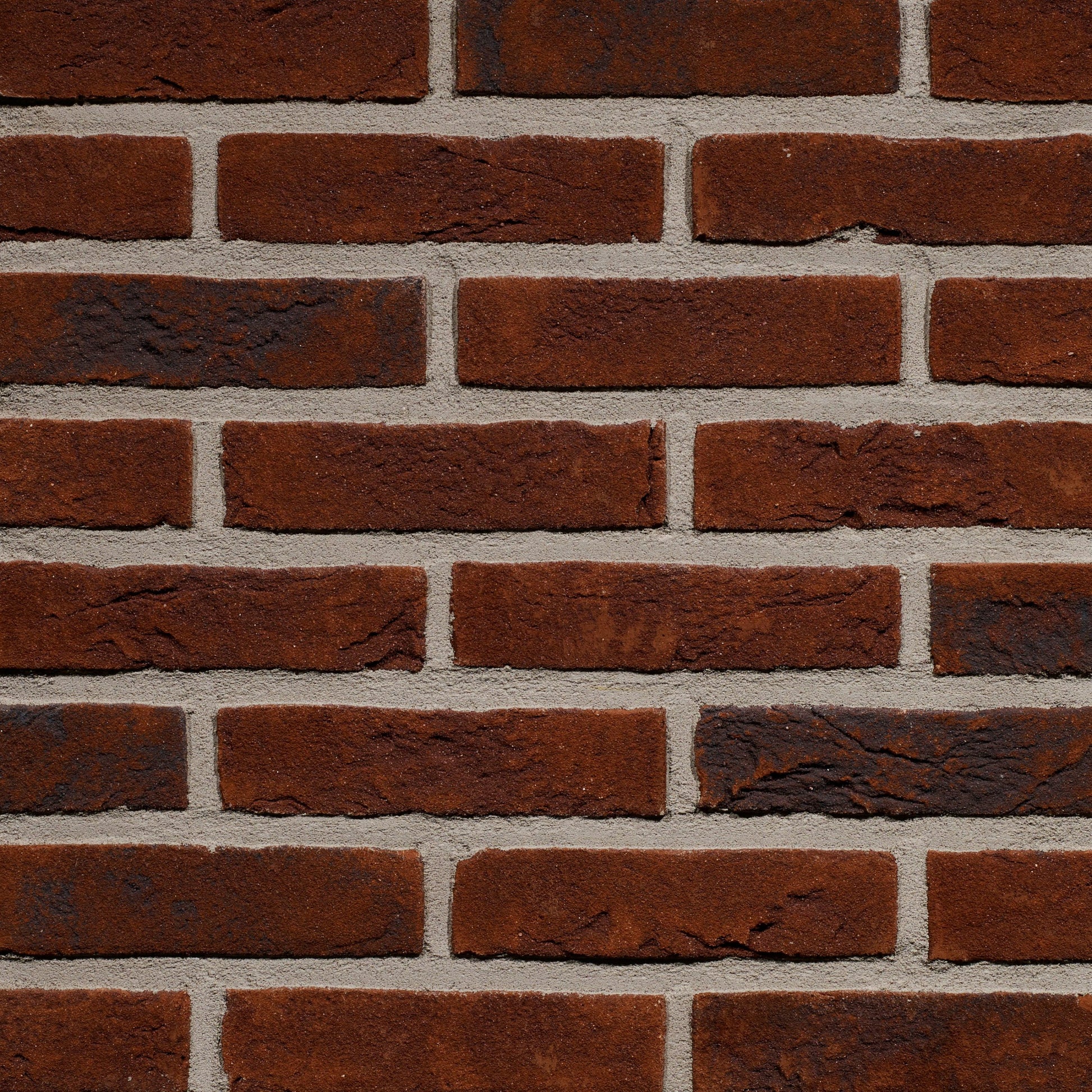 Forum Pampas HV EcoBrick