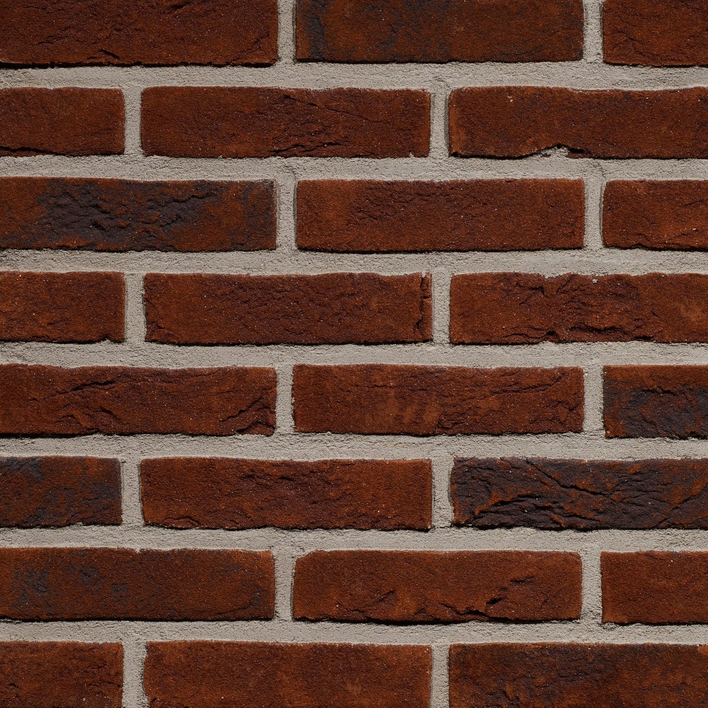 Forum Pampas HV WF215