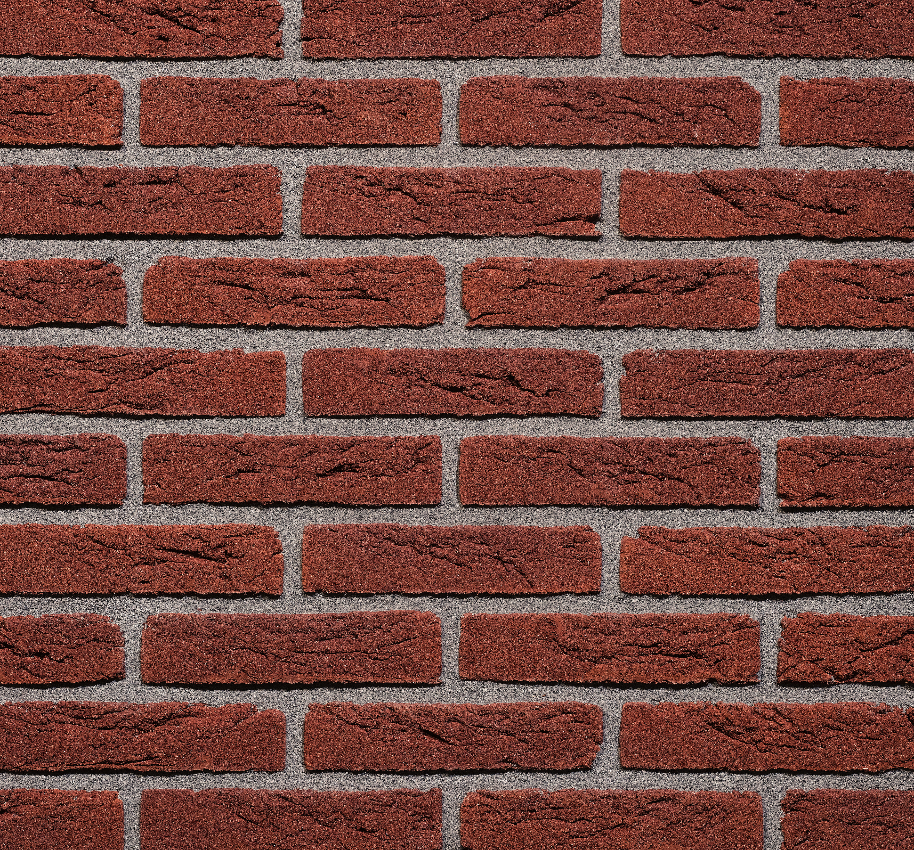 Dommelrood HV WF  