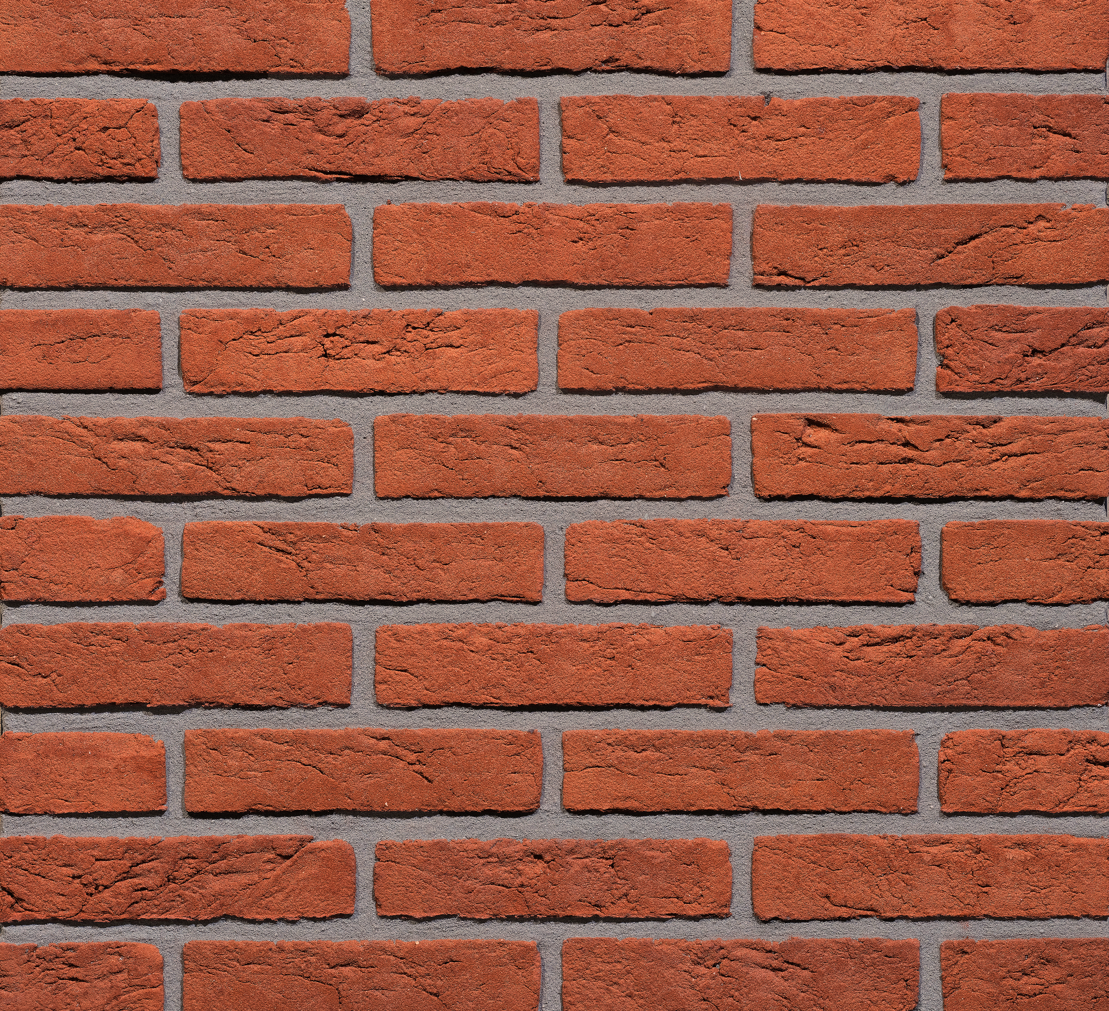 Dinkelrood HV WF  