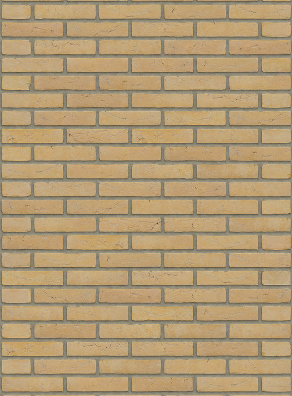 Geel Rose Zilverzand HV WF (pallet)