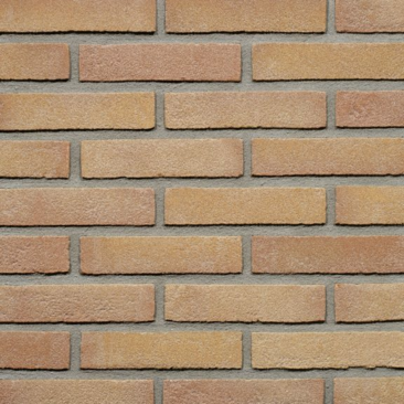 Beigerood VB WF STR Brons Geel Genuanceerd