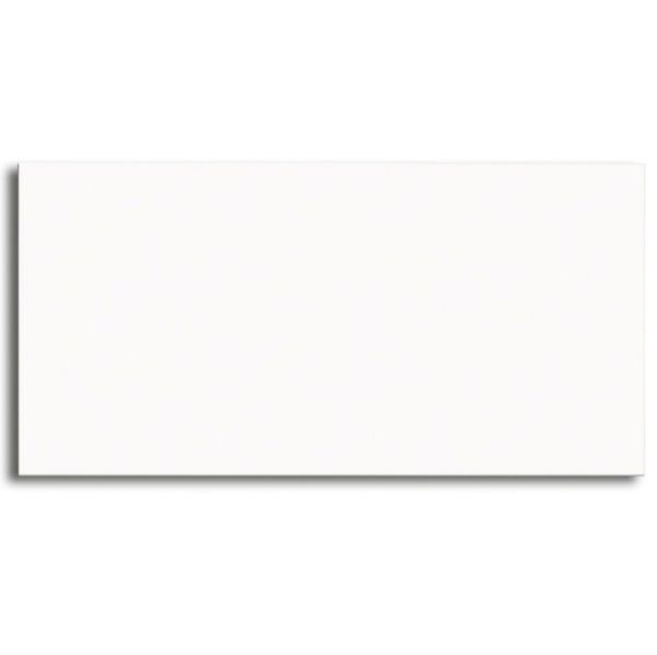 Norddeutsche Steingut Studio 30x60  Weiss Matt