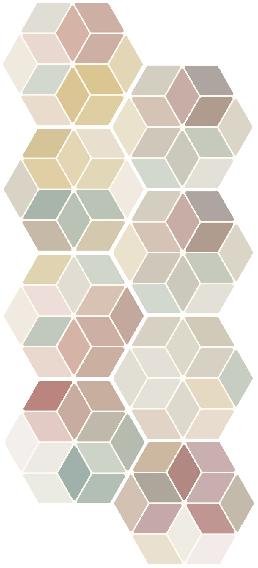 Cotto-Quint. Color            17x15 29st/ds 80ds/plt       Minima Multi