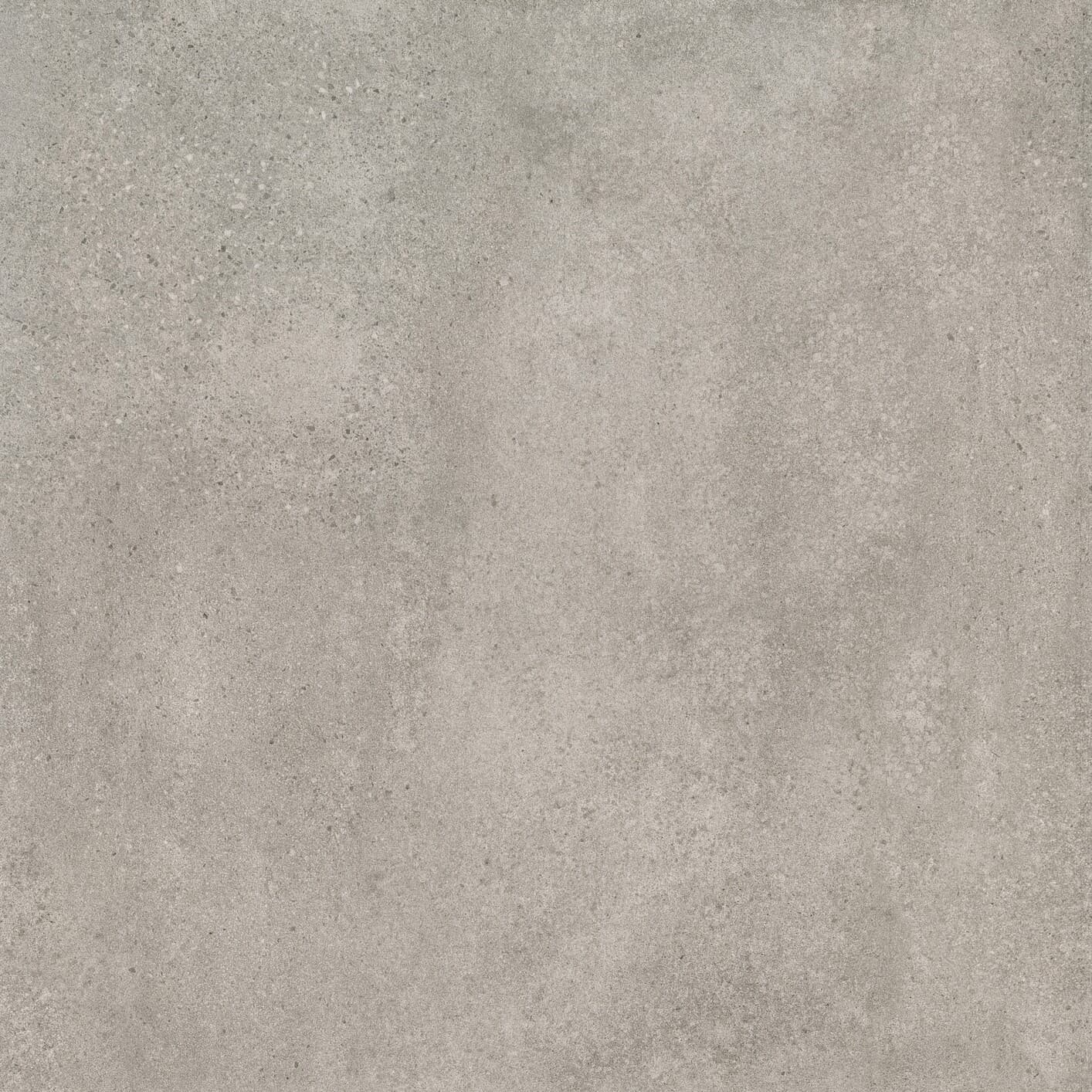 RAK Studio/Paleo 60x120 9mm Dust/Grey  Matt                